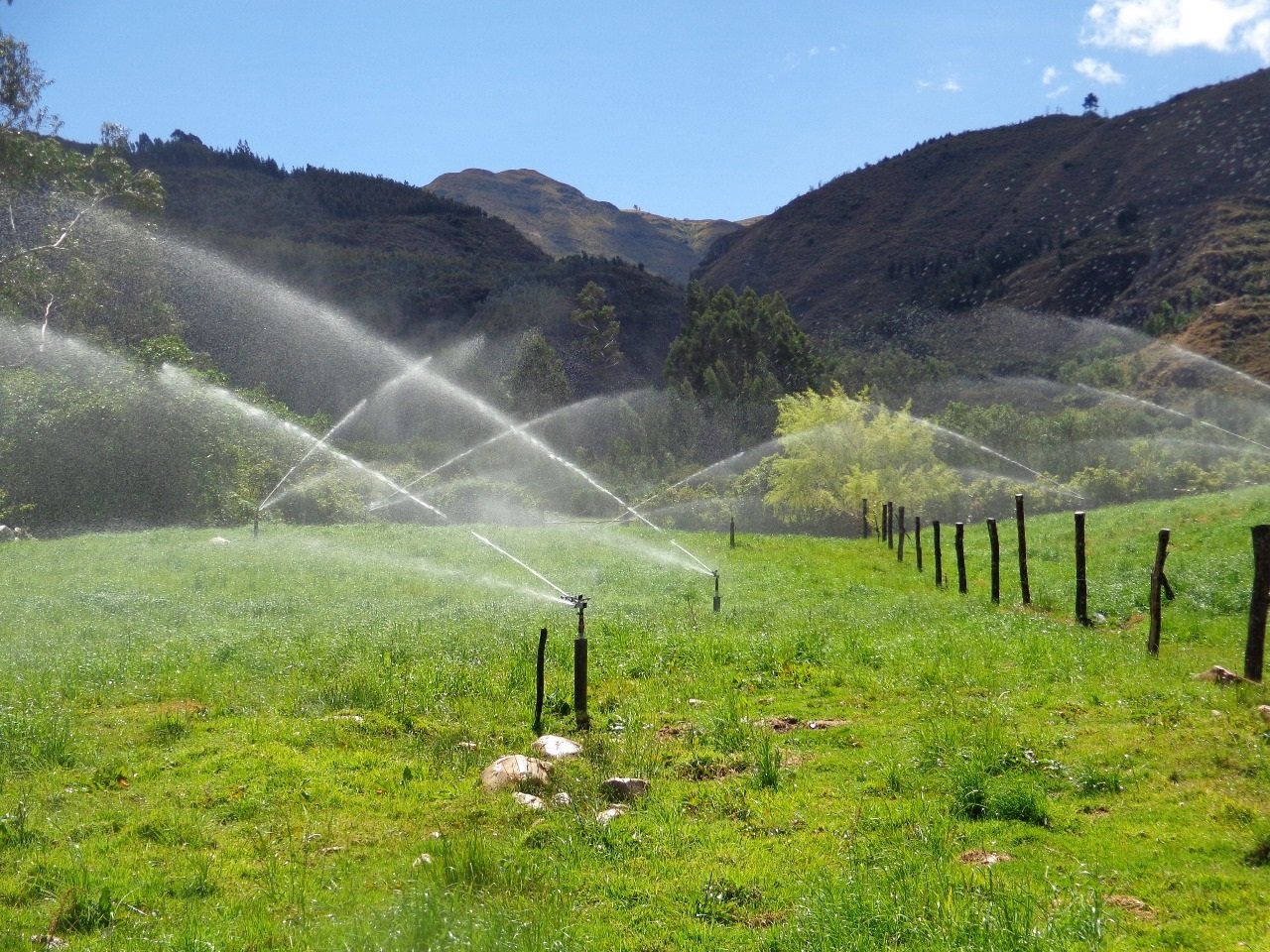 Campo agrícola con sistema de riego por aspersión